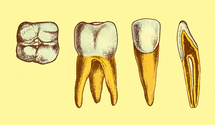Dental-Practices
